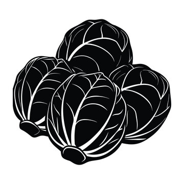 Organic vegetable silhouette of brussels sprouts isolated simple black botanical food vector illustration