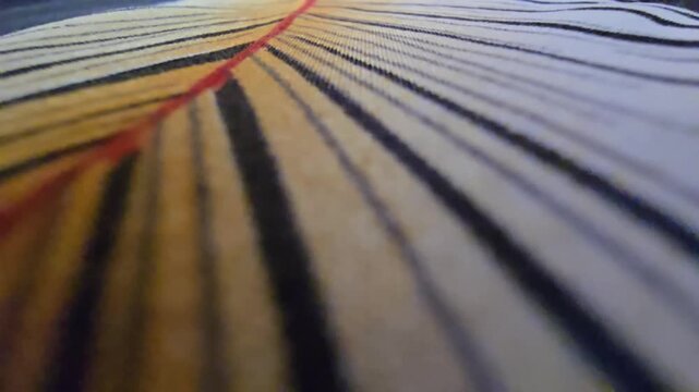 Macro close-up of a textured fabric with parallel mustard yellow, black, and white striped pattern and a bold central red line, high-quality textile background, abstract artistic woven material detail