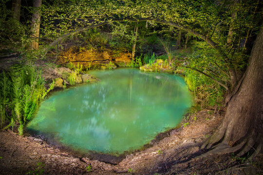 Skiles Sink Illuminated at Night, Lafayette Blue Spring Cave System, Florida