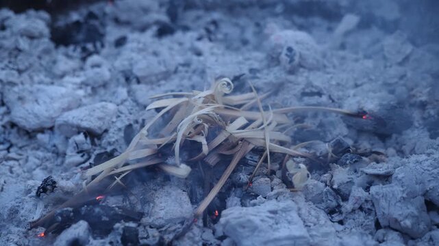 a close-up of rustling wood chips on the ashes of an extinguished fire