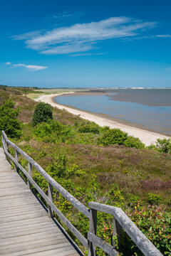 Sylt, Germany. The nature reserve "Braderuper Heide".