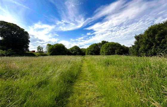 A lush green field rolls out toward the horizon, glowing beneath a vibrant blue sky. Soft white clouds drift overhead, adding texture and depth to the open sweep of Scaley Hills, Wibsey, Yorkshire, UK