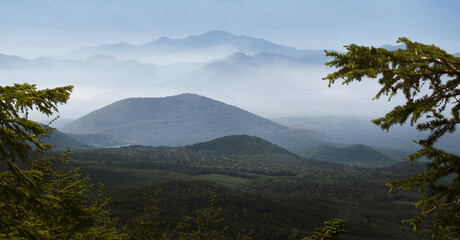 Mountain landscape with mist and coniferous forest in Japan © a2gover