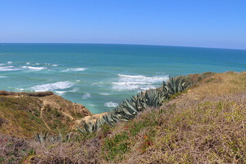 Cactuses on the coast of the Atlantic Ocean in Portugal. © Viktor
