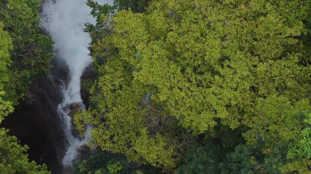 Powerful flowing water from waterfall sprays on rocks in green forest valley on Yakushima, Japan