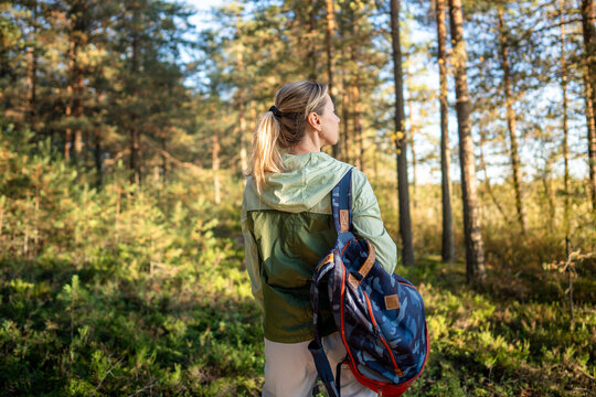 Woman backpacker enjoys solo trip in autumn forest, peaceful recreational activity for stress relief, calm female hiker exploring woodlands alone on weekend, nature loving and relaxation.