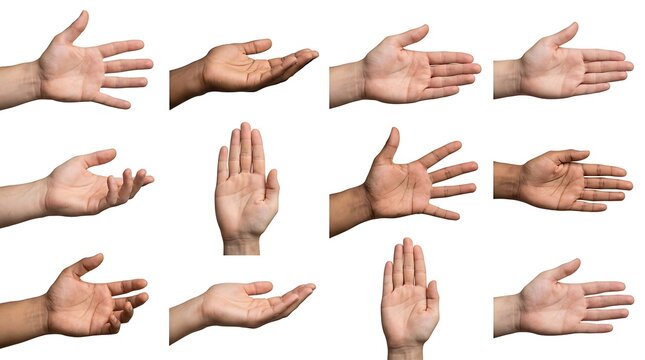 Diverse hands in various positions isolated.