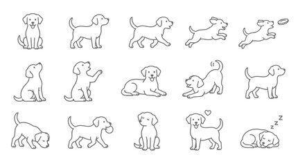 Fototapeta premium Collection of various dog poses and actions