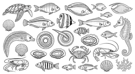 Fototapeta premium Beautiful collection of hand drawn sea creatures including tropical fish, turtle, seahorse, crab, and oyster shells.