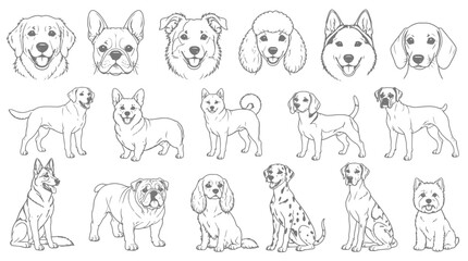 Naklejka premium Collection of dog breeds in line drawing style