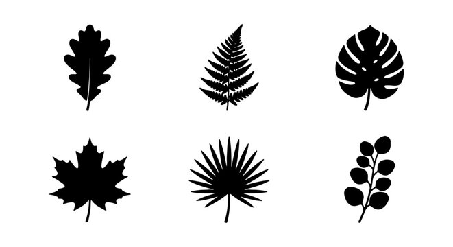 Botanical Silhouettes: Oak, Fern, Monstera, Maple, Palm, Branch Vector Icons for Nature Design