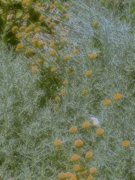 green leaves on the water