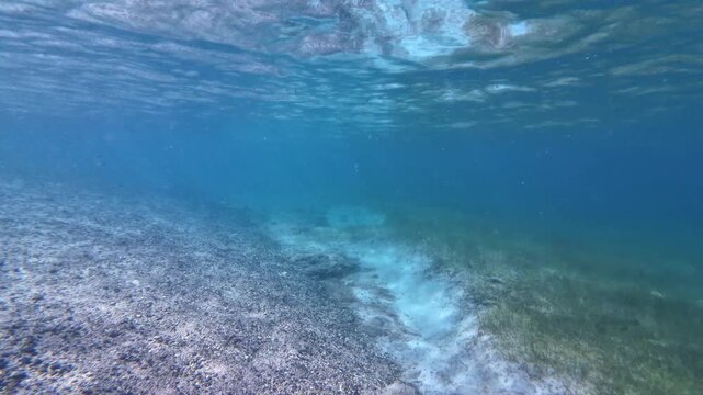Swimming underwater at Tamarindo Beach, Culebra with a palometa fish