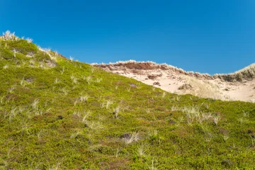 Sylt, Germany. Dunes with grass. © foto-select