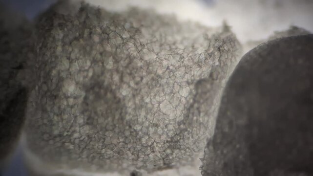 Polystyrene microstructure under microscope, close up of expanded EPS plastic foam cell texture