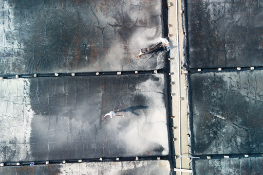 Workers diligently move salt and water in vast, sunlit evaporation ponds. White salt deposits contrast with dark pond sections in the daytime