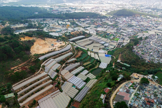 Numerous greenhouses line a sloping hillside, stretching towards a distant city skyline