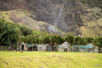 Chicken coops on Tristan da Cunha, in the South Atlantic © Angela