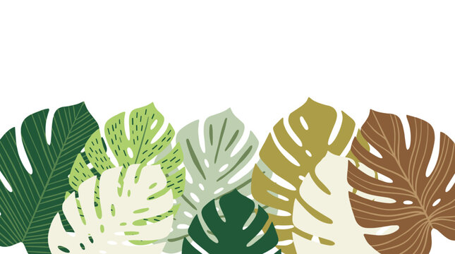 A border of monstera leaves in various shades of green, cream, and brown, perfect for fabric patterns or tropical-themed designs