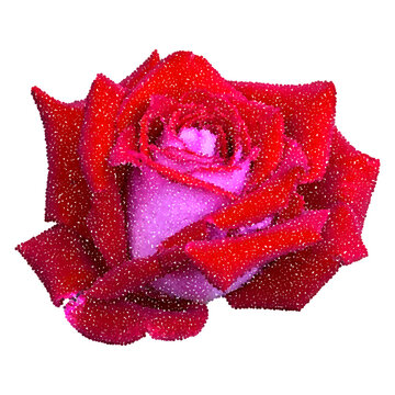 Red rose cut out of magazine element for collage. Flower head with pointillism dots texture. Floral sticker with vintage messy grain, gritty stipple halftone texture. Modern retro vector illustration