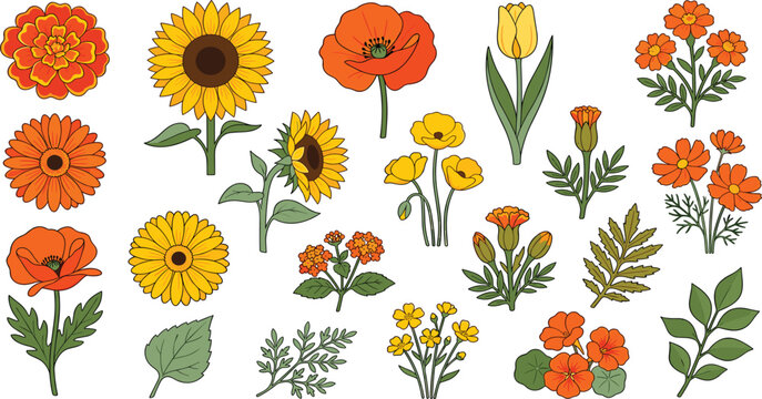 Yellow and Orange Botanical Flower Vector Illustration Set Featuring Sunflower Poppy Tulip Marigold and Calendula Blossoms for Retro Autumn Graphic Designs