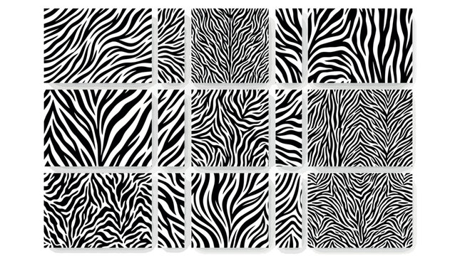 Collection of black and white zebra skin patterns