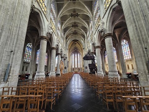 interno di grande cattedrale gotica con vetrate colorate