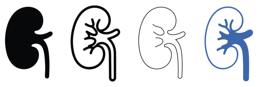 Kidney icon set featuring human kidneys with ureters, medical anatomy symbols, urinary system illustrations, healthcare education graphics, and organ health concepts, vector, designs