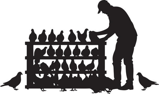 Silhouette of man feeding pigeons in cage, birds on and coop