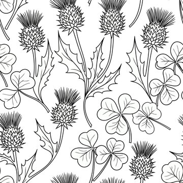 Seamless pattern with thistle and shamrock line art illustration