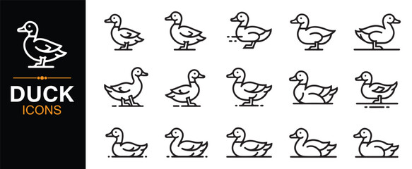 Obraz premium Cute Bird Outline Icons