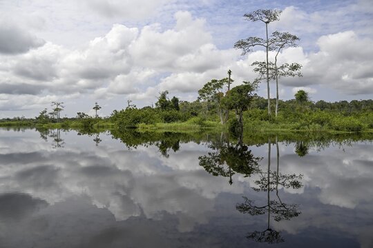 Waterscape on the Akaka River, Loango National Park, Parc National de Loango, Ogoou&eacute;-Maritime Province, Gabon