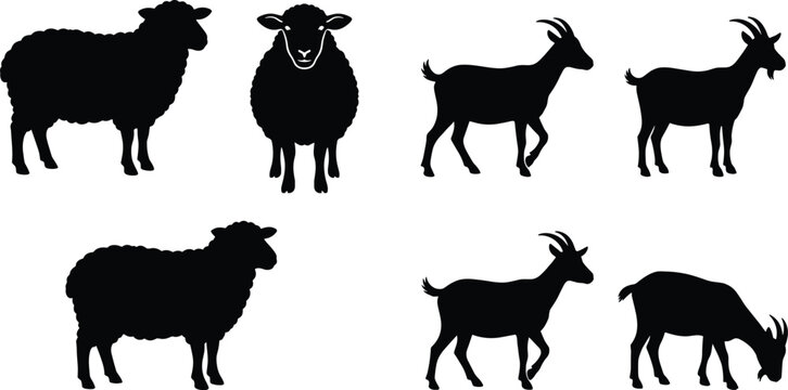 Sheep and Goat Silhouette Vector Set with Livestock Figures for Farm, Agriculture, and Pastoral Countryside Designs