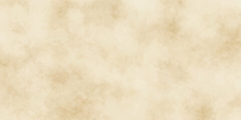 Fototapeta premium Abstract Paper Texture: A textured background resembling aged parchment or handmade paper, with subtle variations in color and soft, blended edges, evoking a sense of history and warmth.