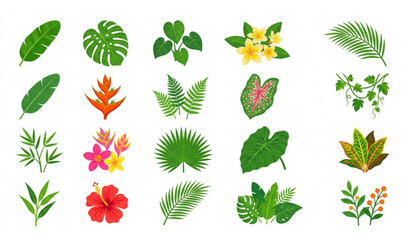 Tropical Leaves and Exotic Jungle Plants Vector Set with Banana Monstera Philodendron and Plumeria Isolated on White Background © Mdmasud