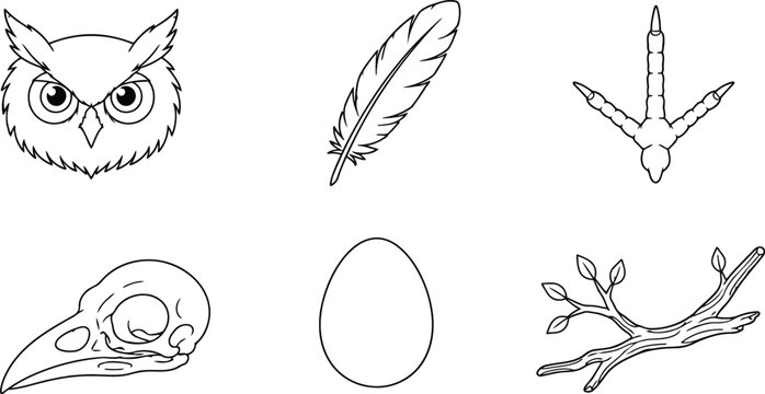 Set of hand drawn owl head feather footprint skull egg and tree branch line art icons