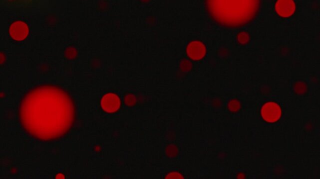 soft focus coloured light bulbs moving around
