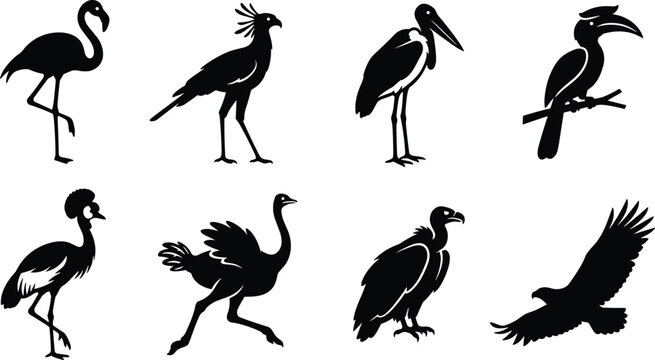 Exotic bird silhouette icon set featuring flamingo secretary bird stork hornbill crane vulture eagle and ostrich vector collection