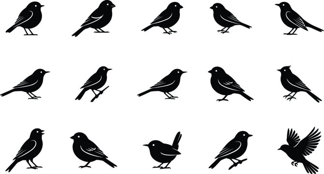 Songbird Silhouette Icon Collection with Robins, Finches, Sparrows, Thrushes, Blackbirds, Wrens, and Flying Bird Symbols for Nature Graphic Design Projects