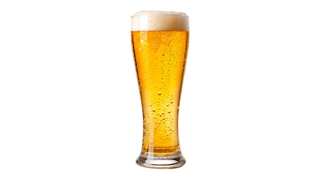 Glass of fresh cold light lager beer isolated on a transparent background