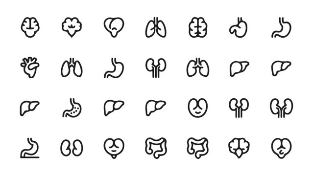Human Internal Organs Line Icons Set