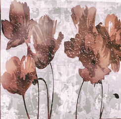 Floral Abstractions © Norm