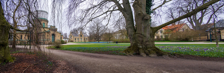 Fototapeta premium Stadsparken Lund in early spring with scilla carpet and bare trees