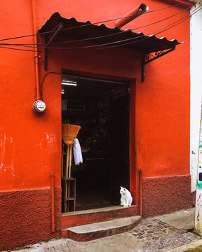 Red Mexican Shop