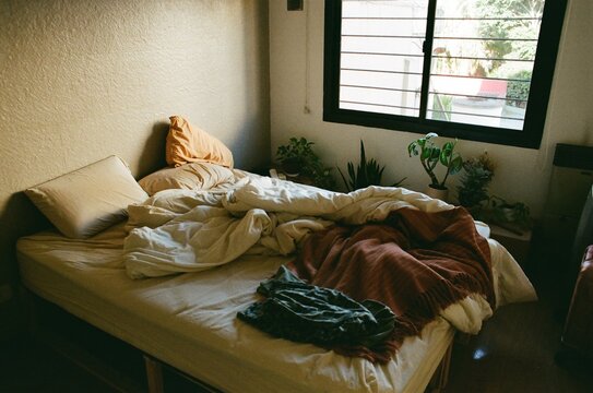 Messy Bed in a Room With Plants and Sunlight During the Day