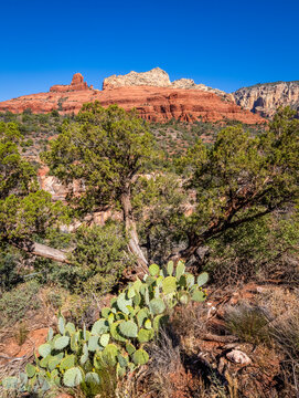 View at Midgley Bridge on Rt 89A in Oak Creek Canyon in Arizona USA