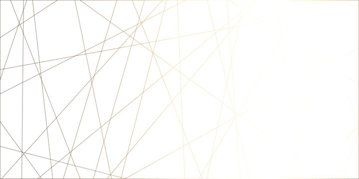 Abstract line background. abstract black lines with white background creative and geometric shape with white luxury pattern and paper texture and geometric shape with white luxury style.
