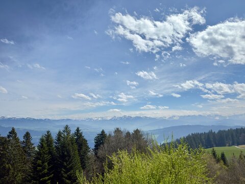 Pf&auml;nder Panoramablick