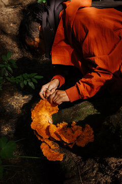 Person collects mushrooms in the forest during a sunny day