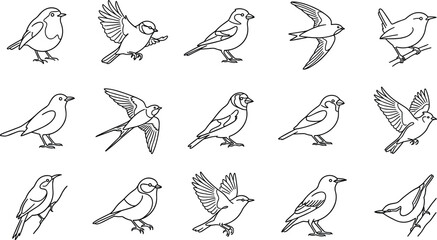 Minimalist Songbird Black Line Icon Set Featuring Robin Bluebird Swallow Sparrow Goldfinch and Wren Symbols for Wildlife and Nature Crafting Designs © Gianni Infantino